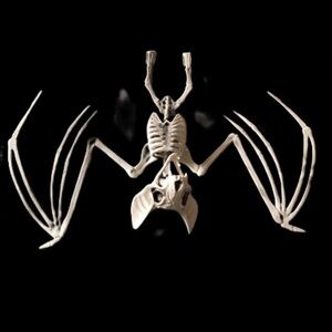 Hanging Skeleton Bat Decor